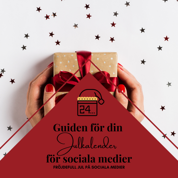 Guiden för en fröjdefull jul